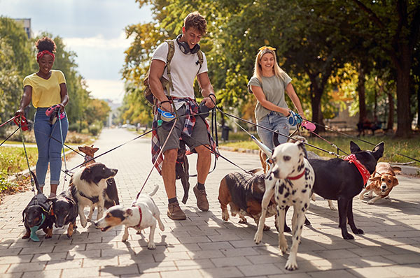 Welcome to the Chesapeake Veterinary Referral Center