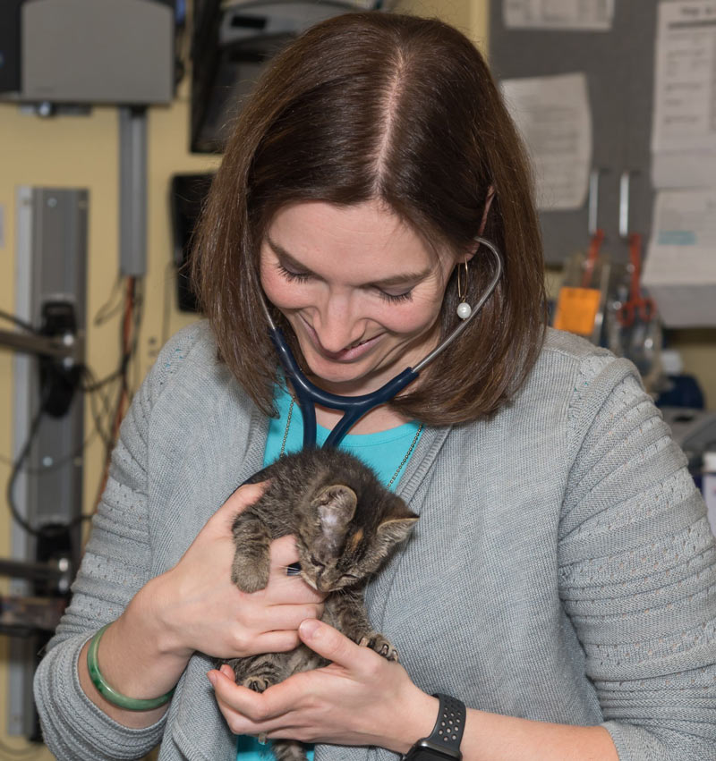 chesapeak-veterinary-referral-center-32.jpg