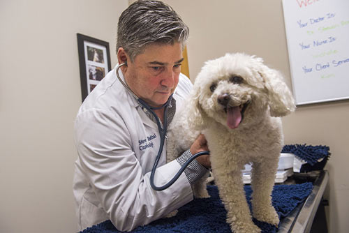 chesapeak-veterinary-referral-center-38.jpg