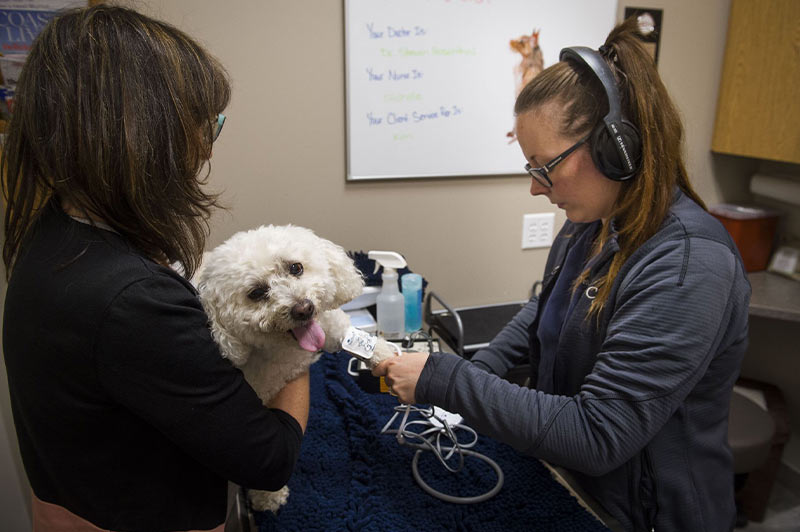 chesapeak-veterinary-referral-center-43.jpg