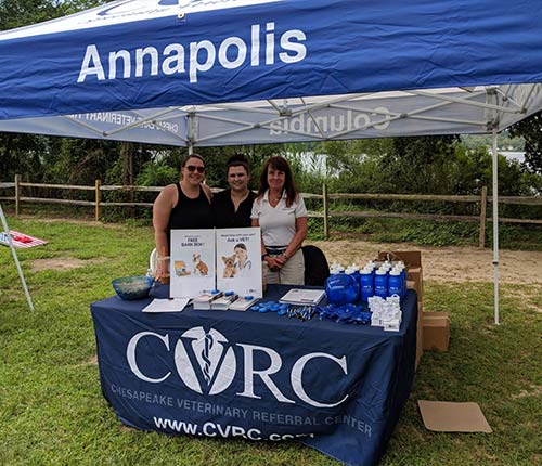 chesapeak-veterinary-referral-center-58.jpg